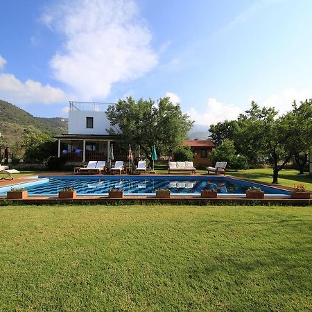 Bal Badem Bungalow Datça Kültér fotó
