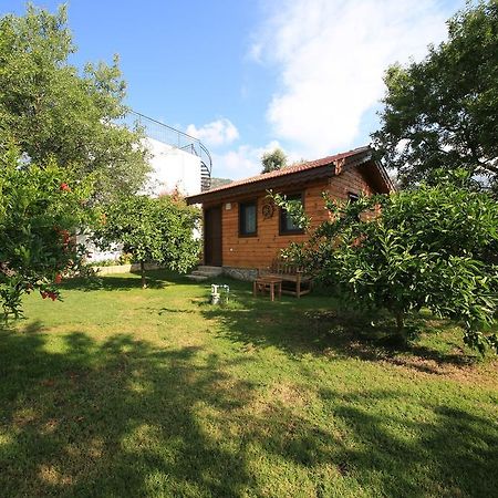 Bal Badem Bungalow Datça Kültér fotó