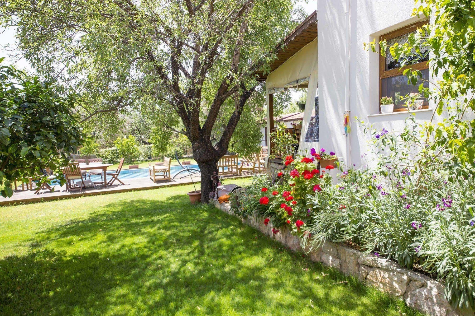 Bal Badem Bungalow Datça Kültér fotó