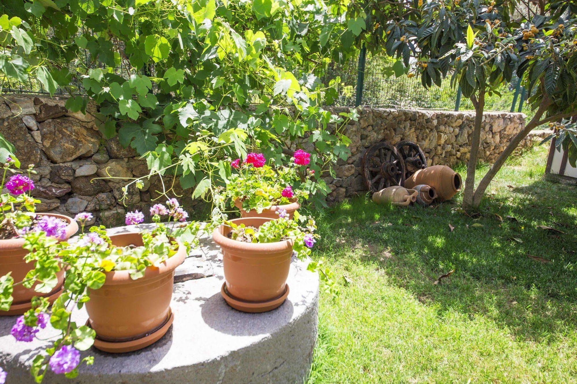 Bal Badem Bungalow Datça Kültér fotó